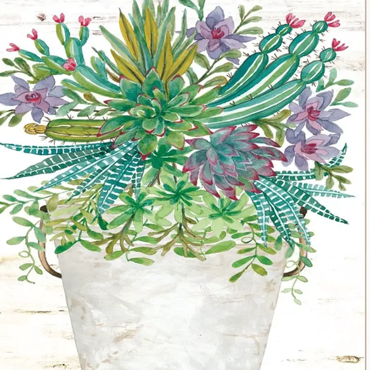 Set Of Two Succulents Dream and Believe White Framed Print Wall Art