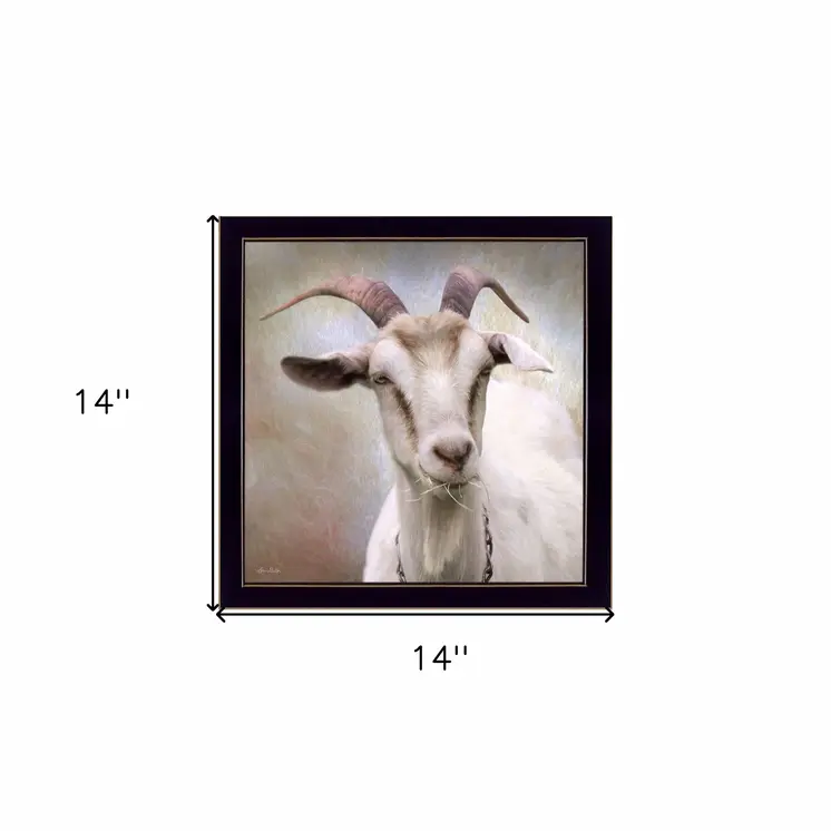 Up Close Goat Black Framed Print Wall Art