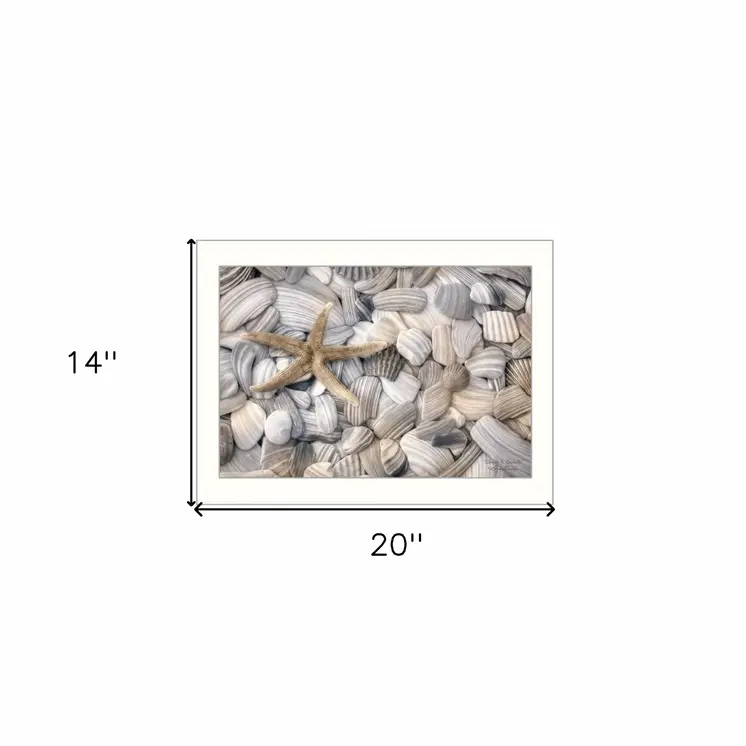Starfish and Seashell 2 White Framed Print Wall Art