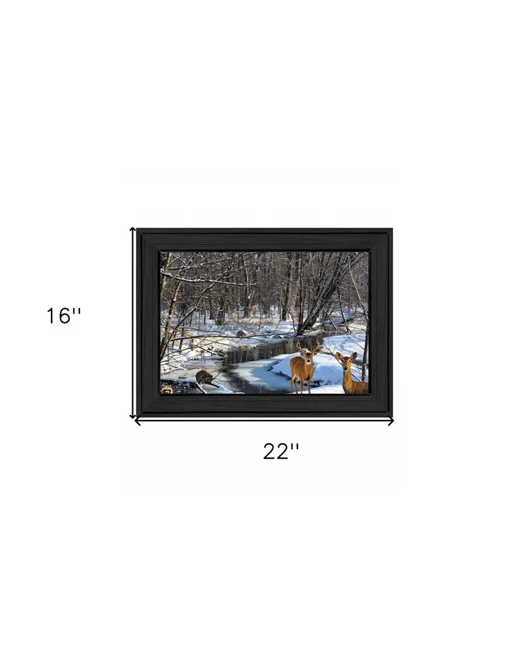 Great Outdoors Nature 1 Black Framed Print Wall Art