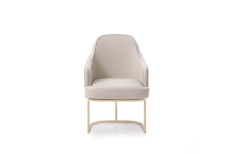 Gray and Gold Upholstered Fabric Dining Arm Chair