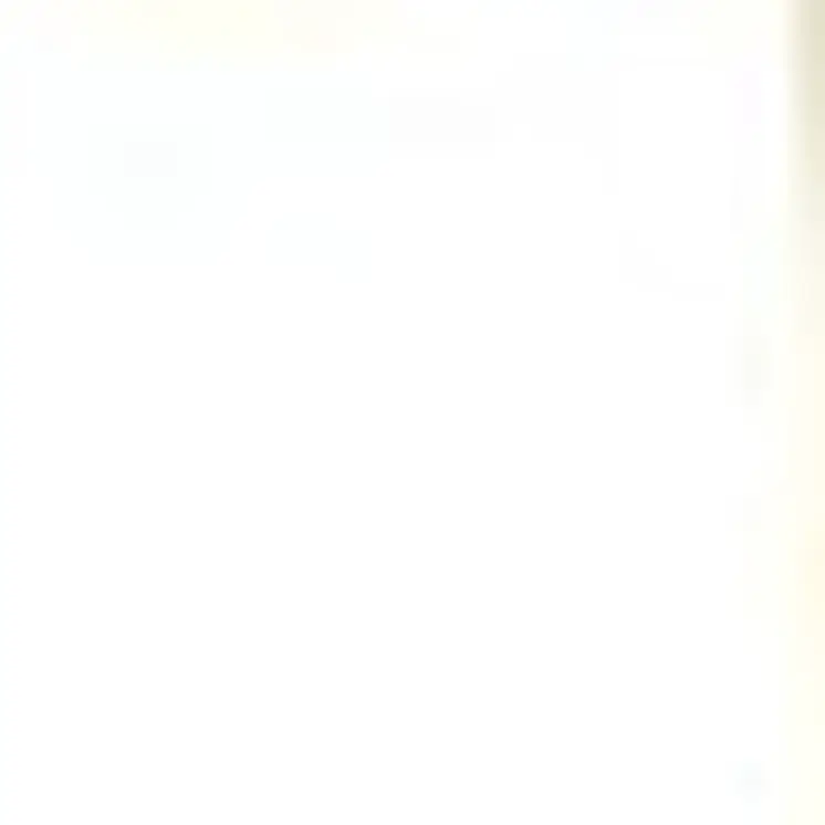 Set of Two 84"  Gold Solid Modern Window Panels