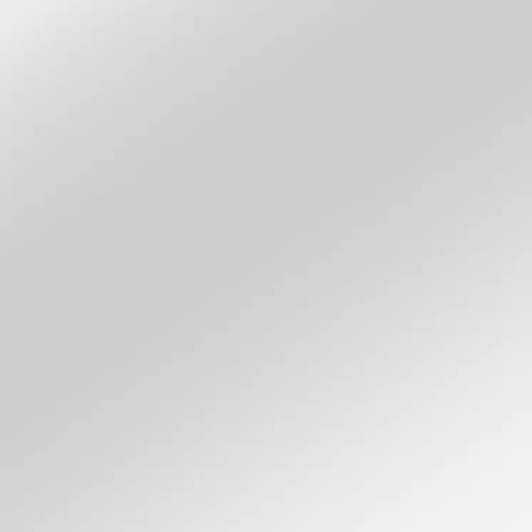 51" Silver Metal Framed Accent Mirror