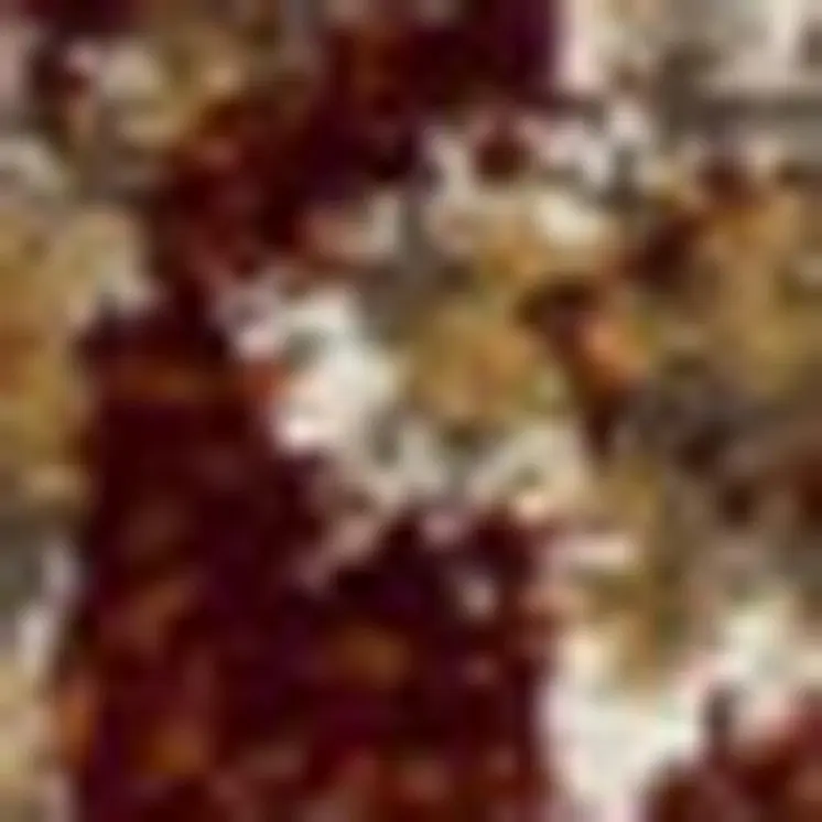 3' X 5' Rust Oriental Area Rug