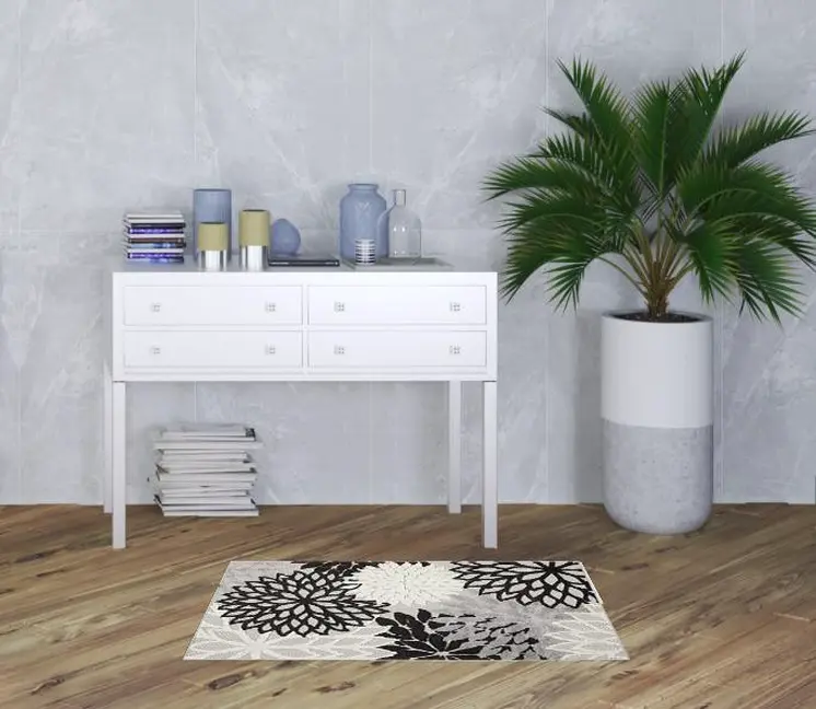 3' X 4' Black And White Indoor Outdoor Area Rug