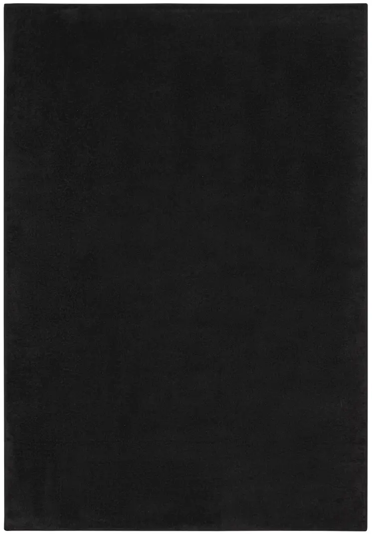 4' X 6' Black Stain Resistant Indoor Outdoor Area Rug