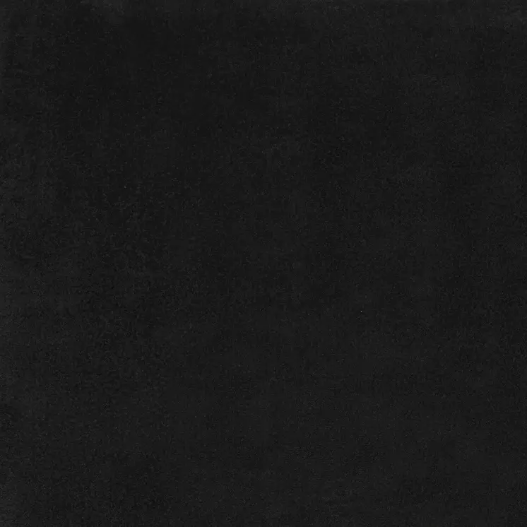 4' X 6' Black Stain Resistant Indoor Outdoor Area Rug