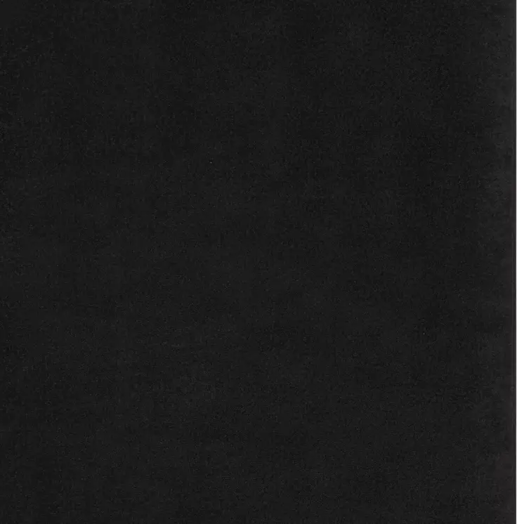 8' X 10' Black Stain Resistant Indoor Outdoor Area Rug