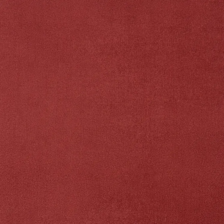 10' X 14' Brick Red Stain Resistant Indoor Outdoor Area Rug
