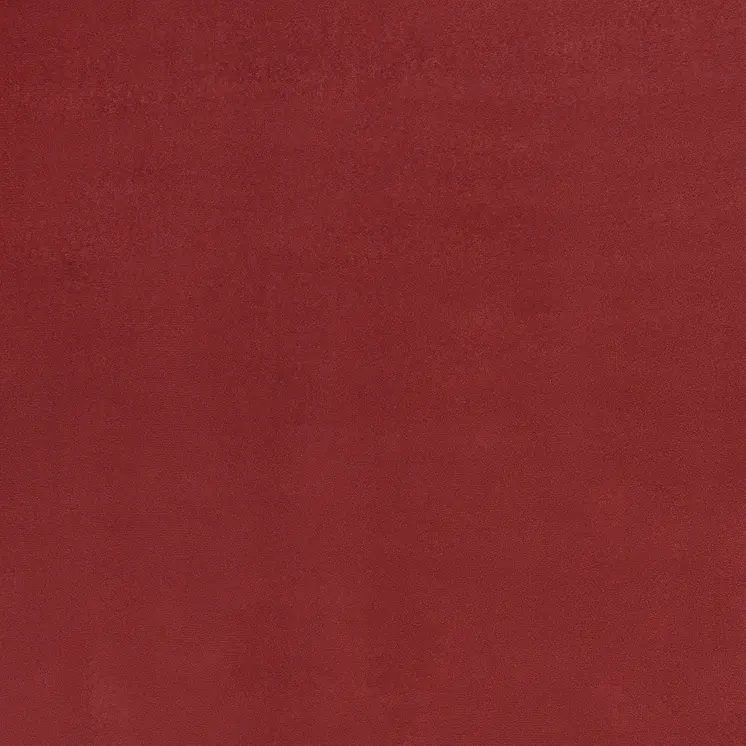 4' X 6' Brick Red Stain Resistant Indoor Outdoor Area Rug