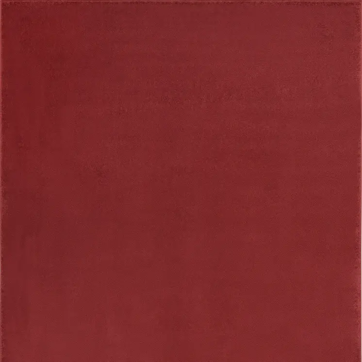 5' X 7' Brick Red Stain Resistant Indoor Outdoor Area Rug