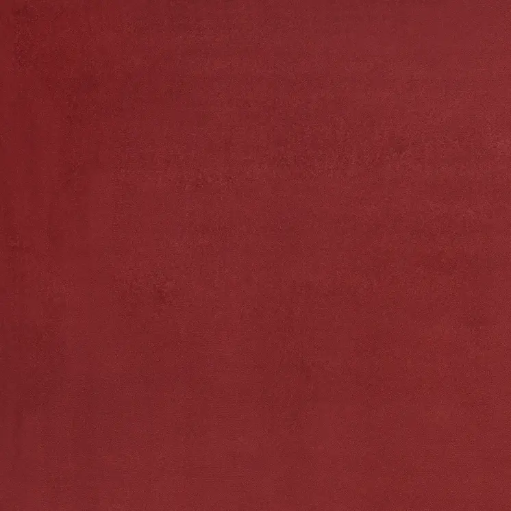 5' X 7' Brick Red Stain Resistant Indoor Outdoor Area Rug