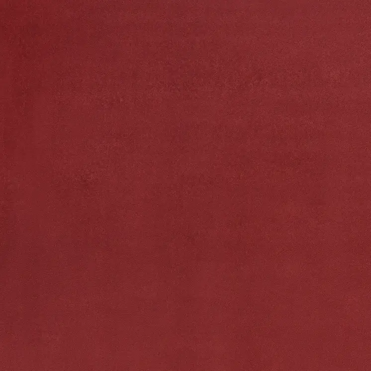 6' X 9' Brick Red Stain Resistant Indoor Outdoor Area Rug