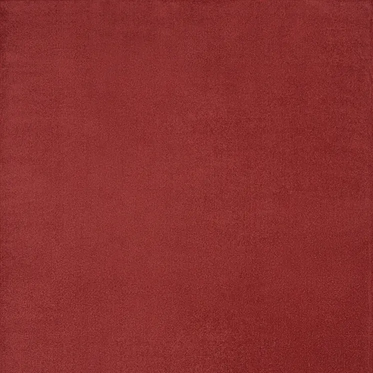 7' X 10' Brick Red Stain Resistant Indoor Outdoor Area Rug