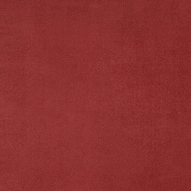 7' X 10' Brick Red Stain Resistant Indoor Outdoor Area Rug