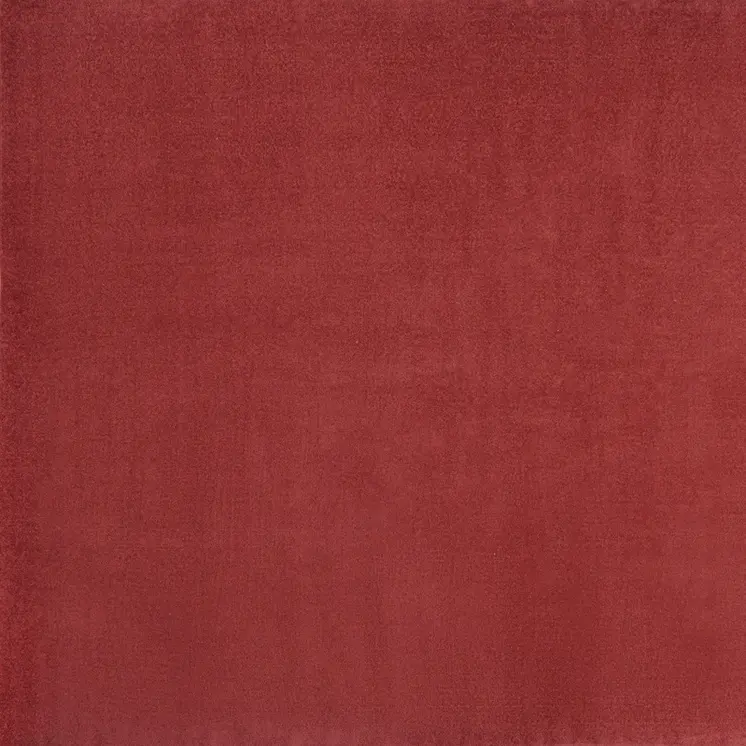 9' Brick Red Square Indoor Outdoor Area Rug
