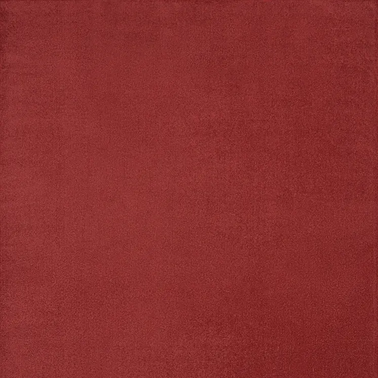 9' X 12' Brick Red Stain Resistant Indoor Outdoor Area Rug