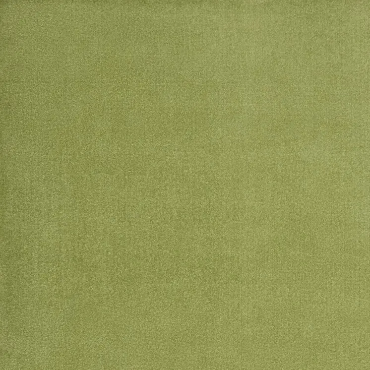 10' X 14' Green Indoor Outdoor Area Rug