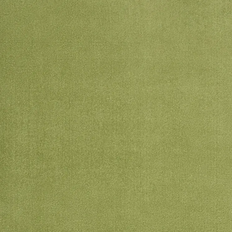 10' X 14' Green Indoor Outdoor Area Rug