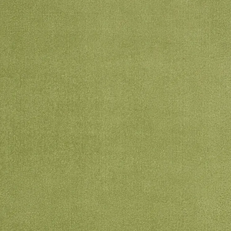 4' X 6' Green Indoor Outdoor Runner Rug