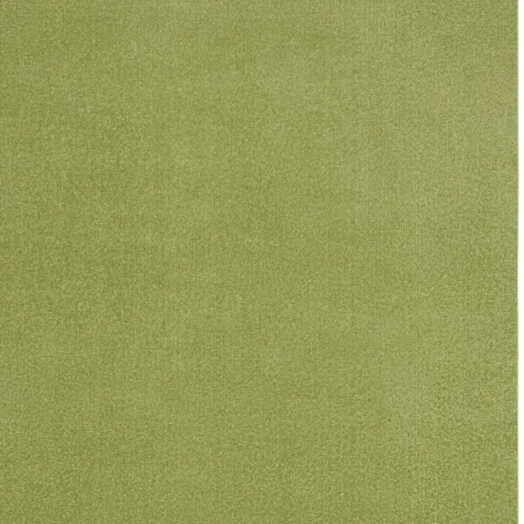 5' X 7' Green Indoor Outdoor Area Rug