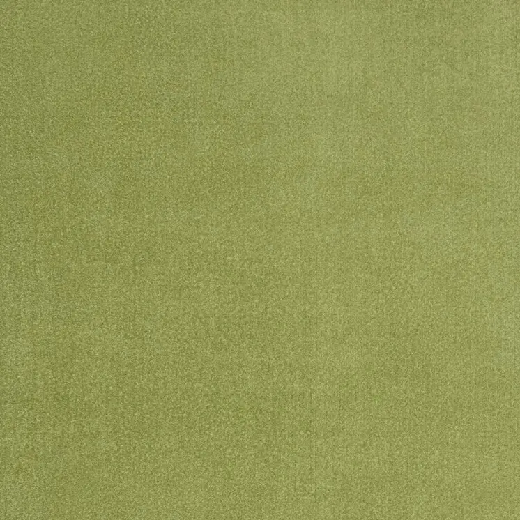 6' X 9' Green Indoor Outdoor Area Rug