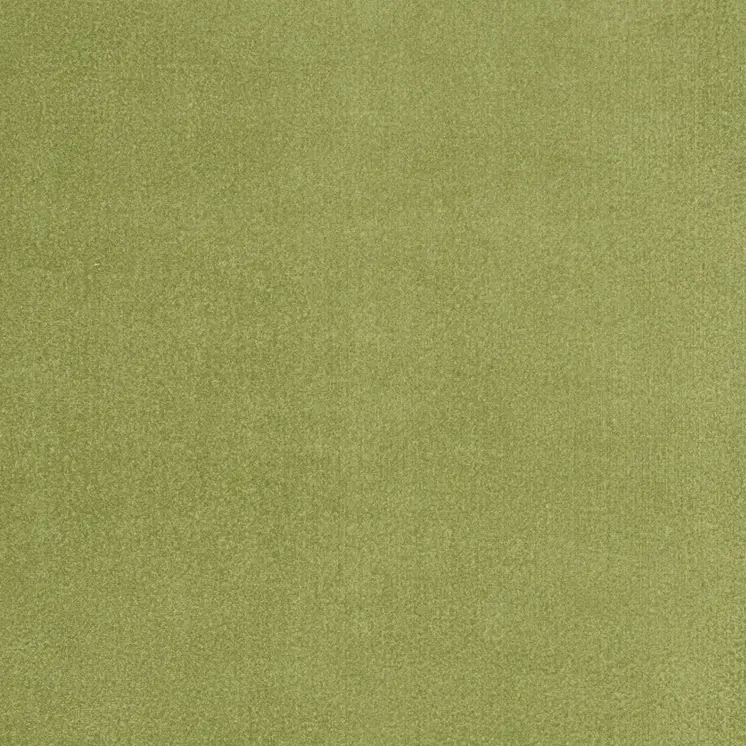 6' X 9' Green Indoor Outdoor Area Rug