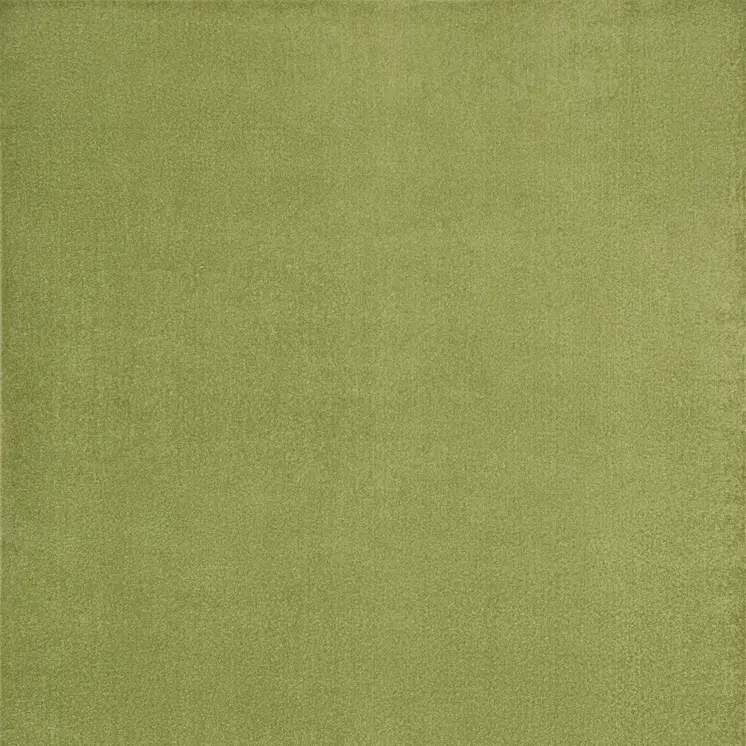 7' X 10' Green Indoor Outdoor Area Rug
