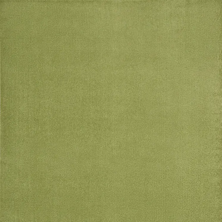 7' X 10' Green Indoor Outdoor Area Rug
