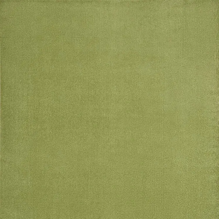 7' X 10' Green Indoor Outdoor Area Rug