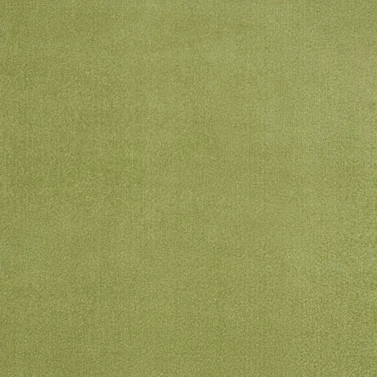 8' X 10' Green Indoor Outdoor Area Rug