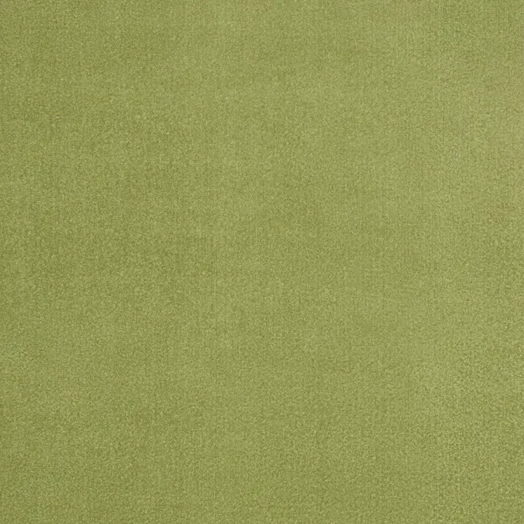 8' X 10' Green Indoor Outdoor Area Rug