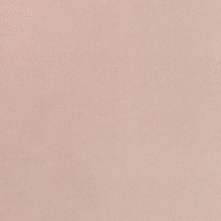 10' X 14' Pink Indoor Outdoor Area Rug