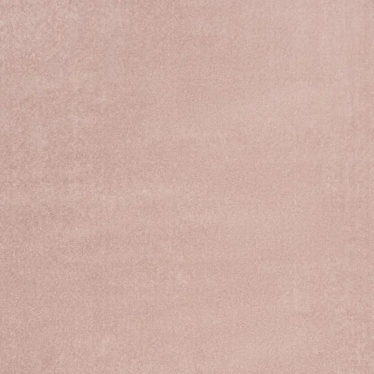 4' X 6' Pink Indoor Outdoor Area Rug