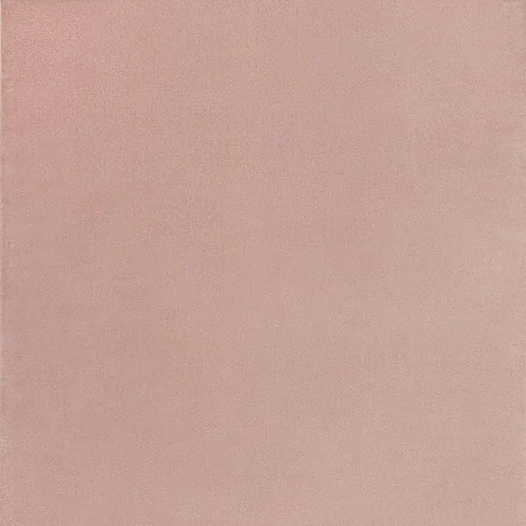 7' X 10' Pink Indoor Outdoor Area Rug