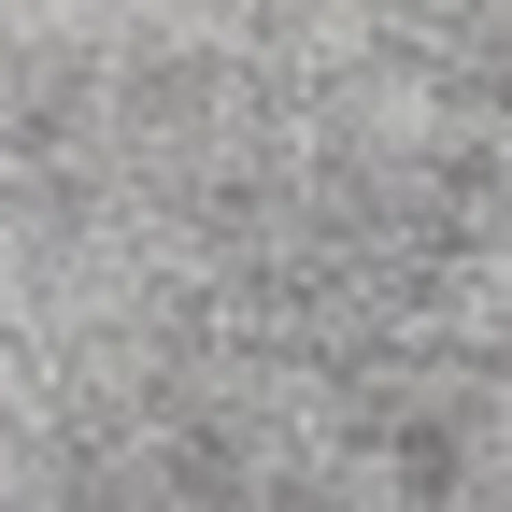 4' X 6' Gray Indoor Outdoor Area Rug