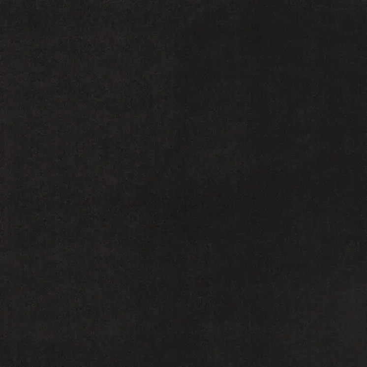 3' X 5' Black Stain Resistant Indoor Outdoor Area Rug