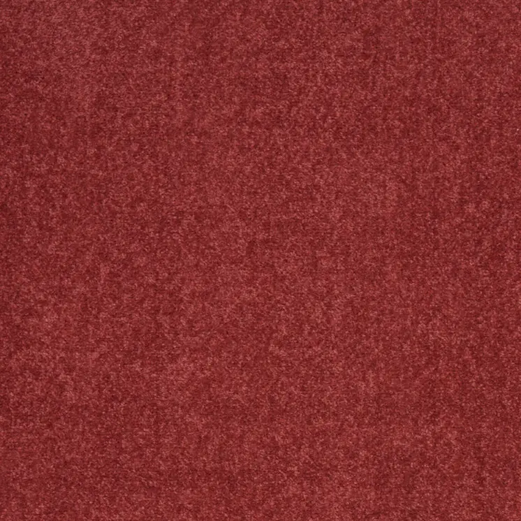 2' X 4' Brick Red Indoor Outdoor Runner Rug