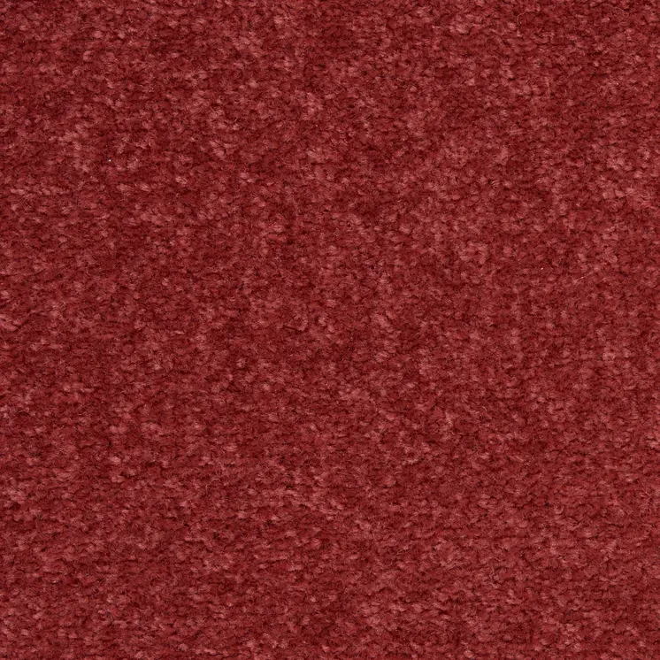 5' X 5' Brick Red Square Indoor Outdoor Area Rug