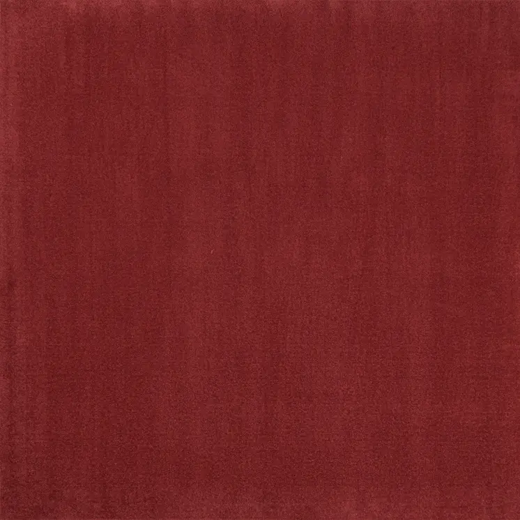 5' X 5' Brick Red Square Indoor Outdoor Area Rug