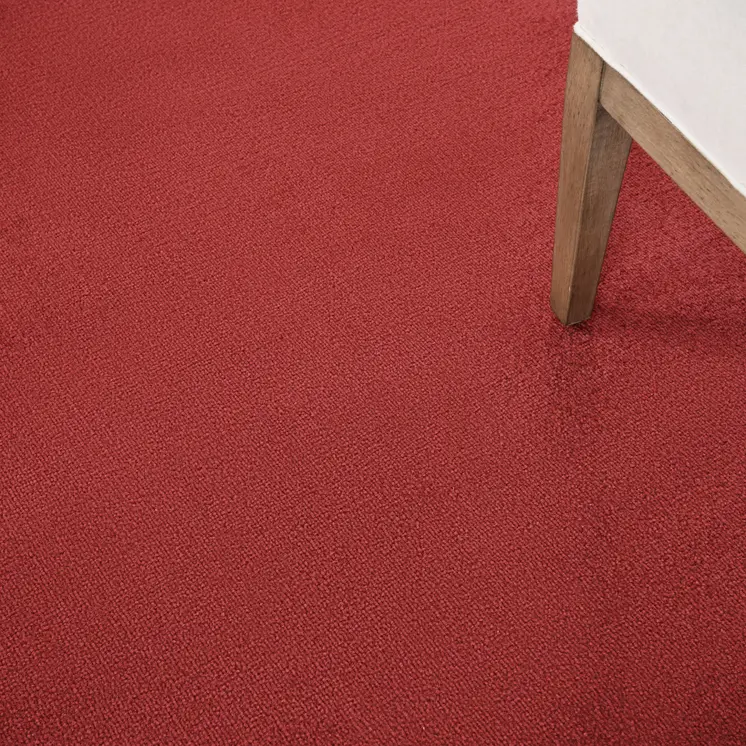 5' X 5' Brick Red Square Indoor Outdoor Area Rug