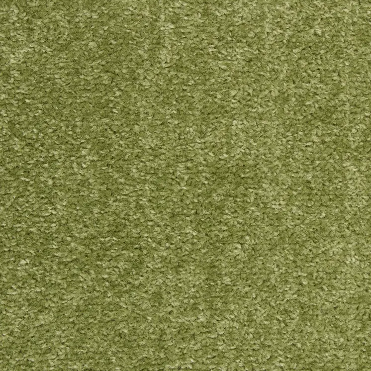 3' X 5' Green Indoor Outdoor Area Rug