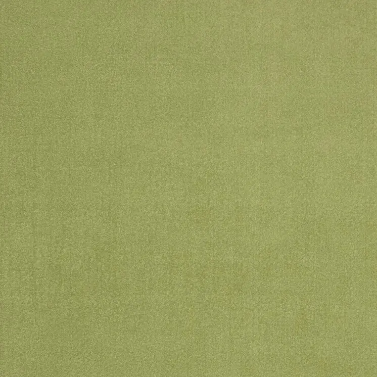 5' X 5' Green Square Indoor Outdoor Area Rug