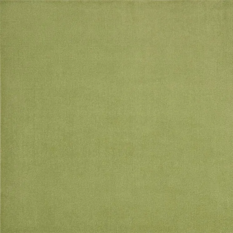 5' X 5' Green Square Indoor Outdoor Area Rug
