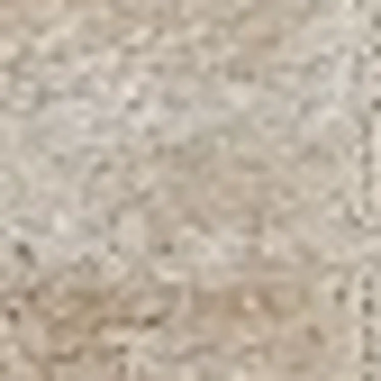 3' X 5' Beige And Ivory Indoor Outdoor Area Rug