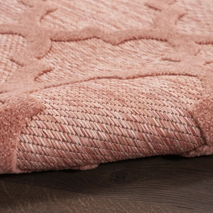 4' X 6' Coral Indoor Outdoor Area Rug