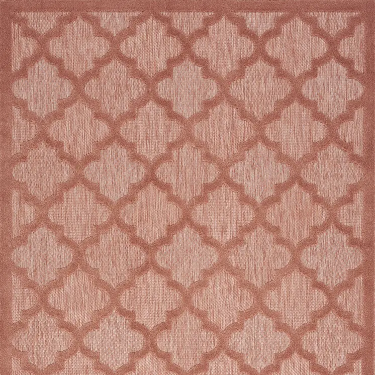 4' X 6' Coral Indoor Outdoor Area Rug