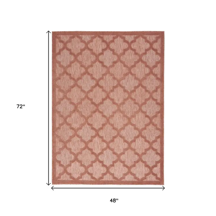 4' X 6' Coral Indoor Outdoor Area Rug