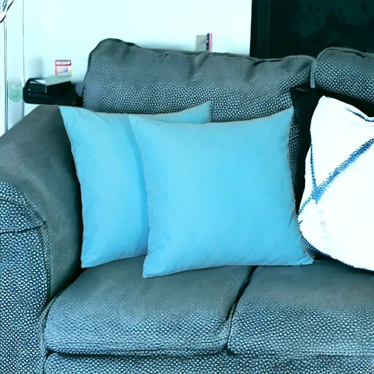 Set Of Two 20" X 20" Sky Blue Polyester Zippered Pillow