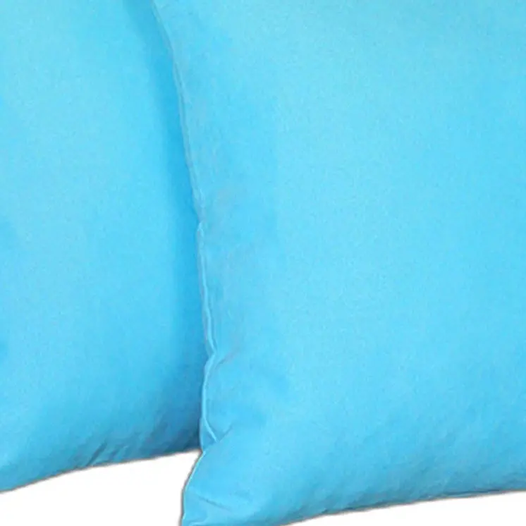 Set Of Two 20" X 20" Sky Blue Polyester Zippered Pillow